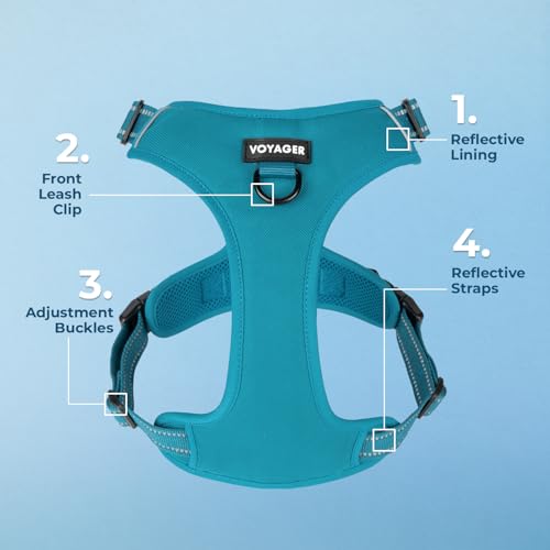 Image of Voyager Dual Attachment No Pull Harness - Turquoise, Large | 25-30 inch in Chest, No Pull Dog Harness, Fully Adjustable, 3M Reflective Technology, Front & Back D-Rings, Walking & Training