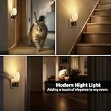 LOHAS-LED Dimmable Plug-in Night Light with Dusk-to-Dawn Sensor, 0–100LM Adjustable Brightness, Soft Warm White 3000K for Bedroom, Bathroom, Hallway, Nursery, Garage - Image 6