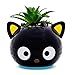 Silver Buffalo Sanrio Hello Kitty and Friends Mini Ceramic Planter Featuring Chococat, 3.75” x 3.25” x 3.75”
