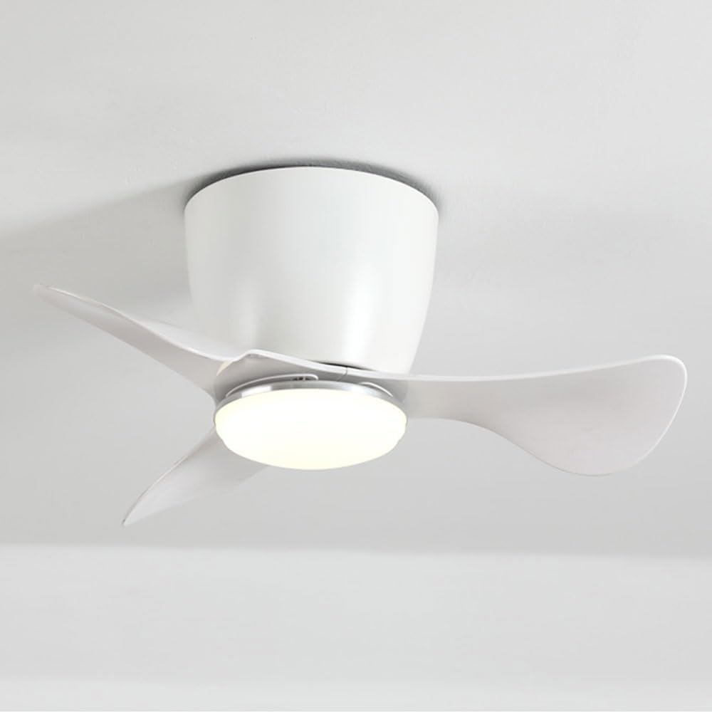 Modern 22in Ceiling Fan with Light 15W LED Flush Mount Ceiling Fan Lighting Indoor Quiet Fan Light Bedroom Lounge Balcony Dining Room Remote Ceiling Fans 6 Gear Wind Speed, Timing