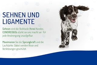 SEDA360b Integratore Calmante per Cani e Gatti 30 gocce tranquillanti per cane Naturale Contro Stress e Paura .L-Triptofano, Vitamine E, Passiflora e Camomilla e Piante Officinali (carne)