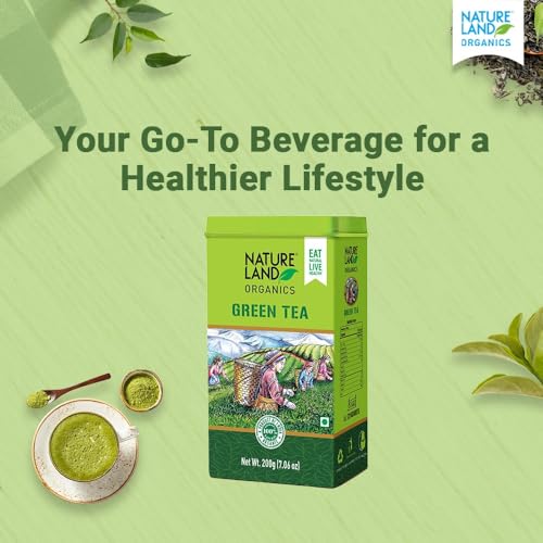 Image of Natureland Organics Green Tea 200 Gm - 100% Organic Loose Leaf Tea (Pack of 3)