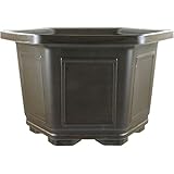 Günstige Preise durch Direktimport und Onlineverkauf