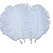 Sowder 20pcs Natural 10-12inch(25-30cm) Ostrich Feathers Plume Wedding Centerpieces Home Decoration(White)