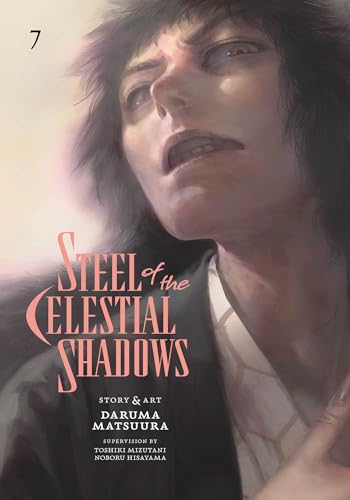 Steel of the Celestial Shadows, Vol. 7