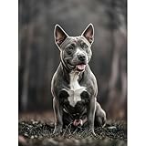 Obtén la autorrealización espiritual: la mejor opción para aliviar el estrés, obtener la sensación de logro y enriquecer nuestro tiempo libre. Los kits de puntos de diamante son exquisitos para expresar buenos deseos y amor a amigos y familiares.