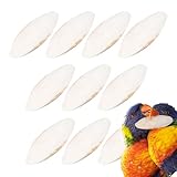 Fortalecimiento del pico: nuestro hueso de abrazos para pájaros es un buen juguete para dentición que permite que sus mascotas emplumadas hagan ejercicio y fortalezcan sus picos. Es rico en minerales y calcio, lo que mejora su capacidad de mordida y promueve la salud general.