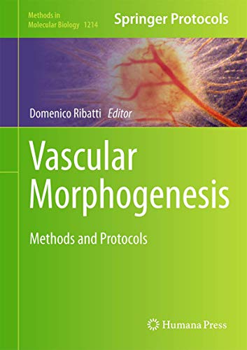 Vascular Morphogenesis: Methods and Protocols 1493914618 Book Cover