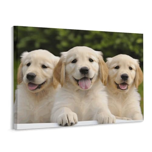 Toile murale cadre Noël chiots Golden Retriever déco maison 40x30