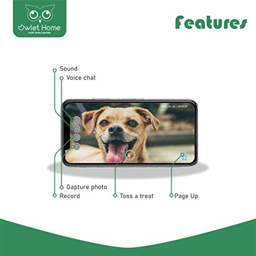 Owlet Home Pet Camera With Treat Dispenser Tossing For Dogs/Cats, 2.4Ghz & 5Ghz Wifi, 1080P Camera, Live Video, Auto Night Vision, 2-Way Audio, Compatible With Alexa, Pre-Recorded Voice Message #TOP3