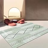 ☀️ Le tapis est fait de tissu de velours cristal de haute qualité, délicat et confortable au toucher, lavable, non déformé, facile à entretenir et a pour effet d'éliminer les acariens.