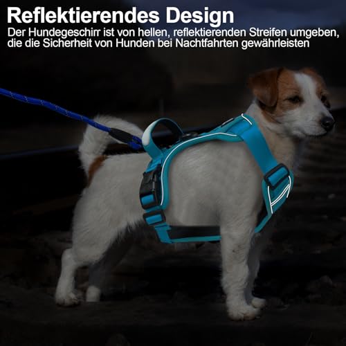 Hundegeschirr Reflektierendes Hundegeschirr mit 1.5m Leine Sicherheitsgeschirr Hund Ausbruchsicher Panikgeschirr für Hunde Verstellbare Leuchtgeschirr für kleine, mittelgroße und große Hunde, S