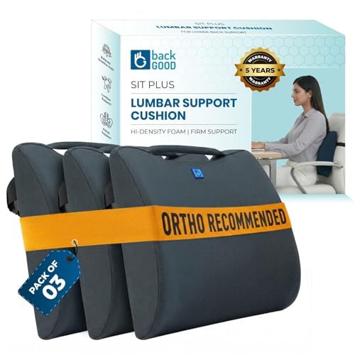Image of Orthosit Orthopedic Lumbar Support | 5-Yr-Warranty | Back Support Cushion | Back Pain Relief| (Grey - Set of 3)