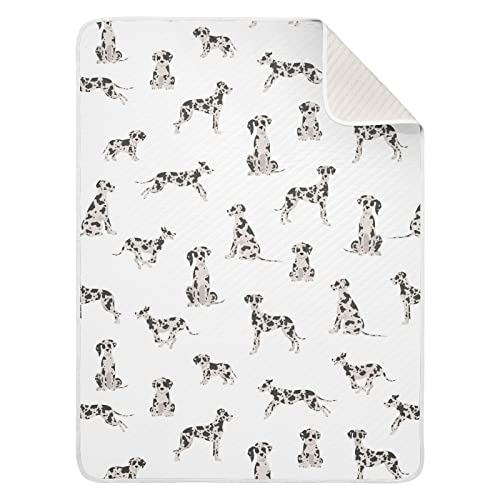 Ollabaky Great Dane Dog Baby Blanket for Boys Girls Cotton Throw Blanket Swaddle Blanket for Crib Stroller Nursery Receiving Blanket Infant Toddler Unisex 30"x40"