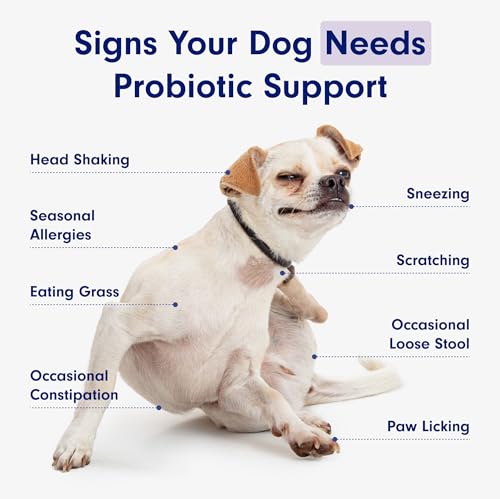 PetLab Co. Probiotics for Dogs - Support Gut Health, Itchy Skin, Seasonal Allergies, and Yeast with Each Tasty Chew - Dog Probiotics - Safe for Small, Medium and Large Dogs - Packaging May Vary - Image 7