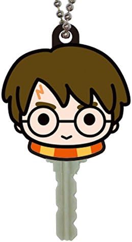 HARRY POTTER Key Holder, Multi Color