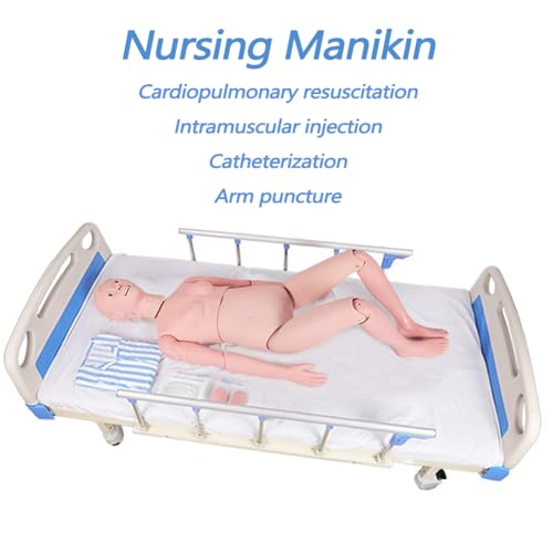 Patient Care Medical Manikin, Life Size Medical Mannequin for Training 5.24ft Multifunction Nursing Training Mannequins with 3 Muscle Module for Nursing Education Teaching Medical Training Skills