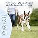 PetSafe Remote Trainer Dog Training Collar - 3 Training Modes: Tone, Vibration, 15 Levels of Static Stimulation, Standard for Dogs Over 8lb+ - Waterproof, Durable, Rechargeable - 100 Yards (300 Feet)