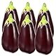 PRETYZOOM 6stücke Teiliges Künstliche Aubergine Modell Dekoration Für Restaurant Und Küche Realistisches Gemüse Für Fotorequisiten Und Lehrmittel