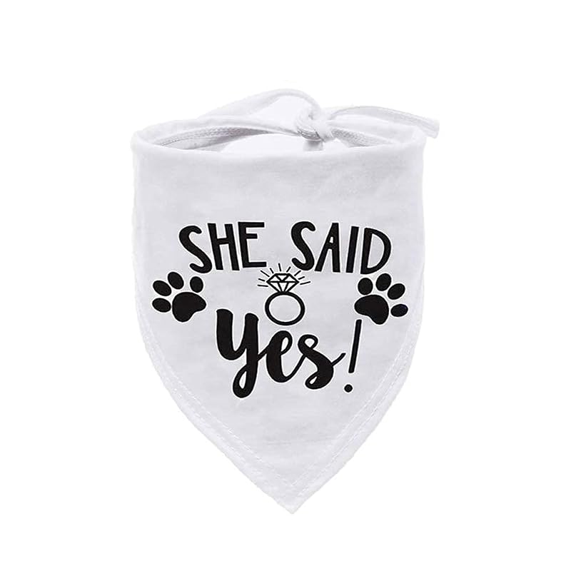 Bandana para Cães She Said Yes para Casamento e Noivado HDGDT, M