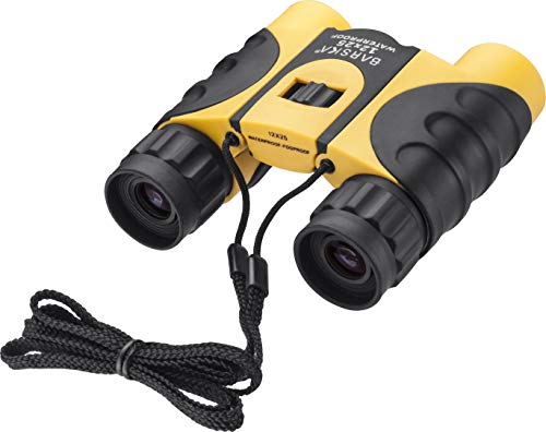 10x25 mm Waterproof Fogproof Compact Binoculars BK-7 Roof Prism, Yellow