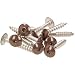 Produktbild 100 x MEISTERLING® Fassadenschrauben Inox V4A 5,5 x 35 mm Flachkopf Torx T20 hellbraun + 1 Bit
