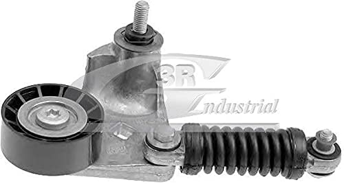 3RG INDUSTRIAL - Rodillo Tensor- OEM 1201181 - Piezas para Coche Recambios Motor y Otras Partes de Vehículo | Compatible con los Modelos de Coche y Moto indicados más Abajo.