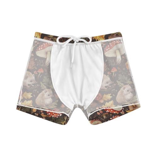 Fall Mushrooms Hedgehogs Cute Colored Cats Boys Swim Trunks Swimsuits for Toddler Boy Swim Shorts Trunks 3T-10T4