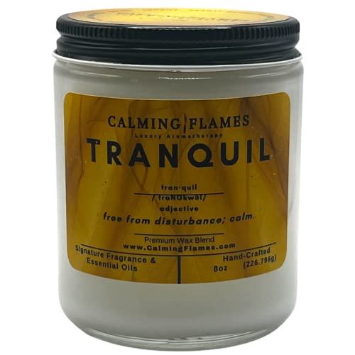 Scented Candles For Home | Cinnamon + Vanilla | Strongly Scented | Lasting Fragrance | Candle Gifts | Aromatherapy | Handcrafted In Usa (Premium Wax, 8Oz) #TOP11