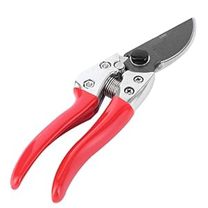Professionele tuin landbouw snoeischaar, fruitboom bloemtak trimmers snoeischaar, handsnoeischaar