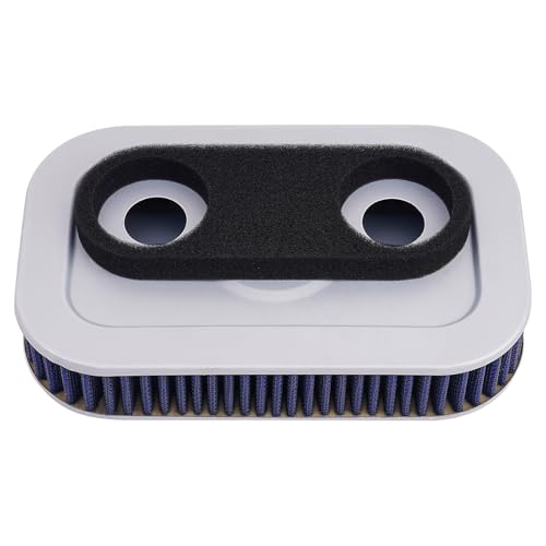 Filtre à air moto XLH883 Road Passion pour rouler serein en Sportster