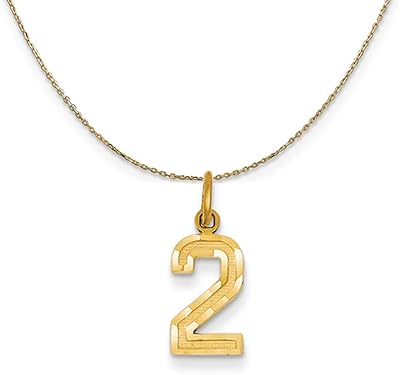 Black Bow Jewelry 14k Yellow Gold, Varsity, Sm D/C Necklace Number 2