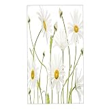 COVASA Daisy Hand Towels for Bathroom,Set of 2,Summer Flower Floral Nature Macro High Key Ox Eye Dai