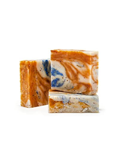 Iron Lion Soap Fruit Farts Organic, Vegan, All Natural, Plant Based Bar Soap For Body, Face, Hands, And Bath (3 Pack) #TOP2