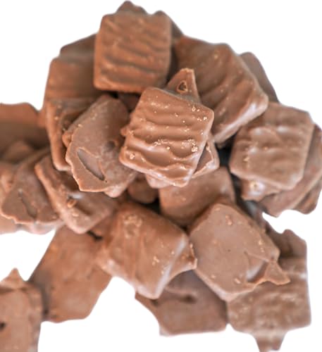 Milk Chocolate Coated Mini Graham Crackers - 1.5 lbs of Fresh Gourmet Sweet Creamy Covered Dipped Graham Crackers in Resealable Bag