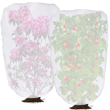 best plants for high heat and sun