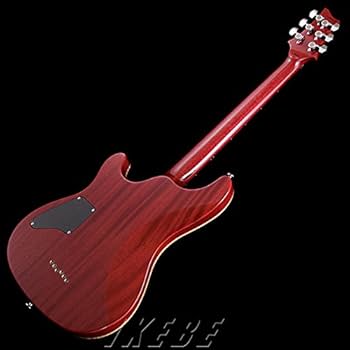 SCHECTER シェクター RX-2-24 CTM TOM 美品 SCHECTER シェクター RX-2-24 CTM TOM 美品 楽天市場】SCHECTER Rexy