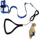 Laisse de promenade d'oiseau Harnais pour perroquets Harnais d'oiseau Laisse pour l'extérieur Harnais d'oiseaux réglable et laisse pour l'extérieur pour oiseaux perroquets cacatoès aras (bleu, S)