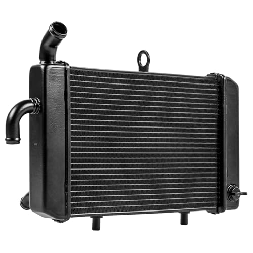 TAZGANTAX Motorcycle Radiator Engine Aluminum Guard Cover for Ya-ma-ha X-MAX 300 2023 2024, Cooling Coolant System Water Tank Assemble Protector (Black)
