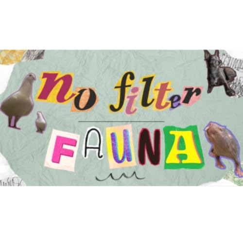 Couverture de No Filter Fauna