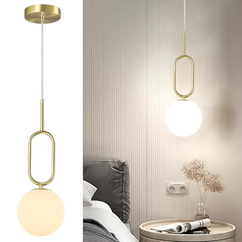 FDPBY Modern Gold Pendant Light Minimalist Globe Hanging Light with