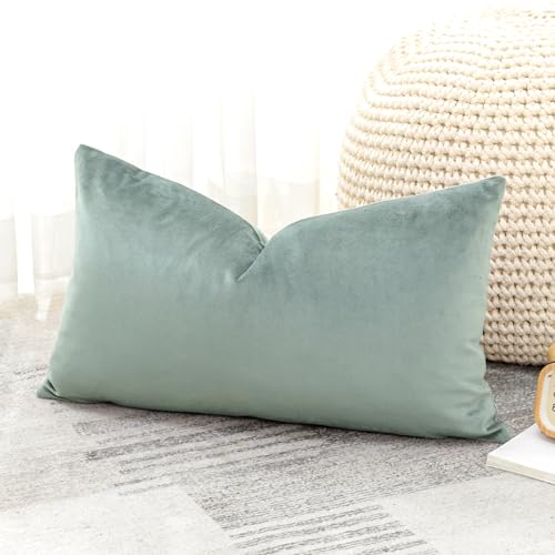 Artscope Luxury Velvet Cushion Covers Super Soft Decorative Rectangle Throw Pillow Covers Case Cushion Covers for Sofa Couch Bedroom Car Decor 40x60cm Light Gray - Image 4