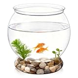 Mini Plastic Fish Bowl, 38 Oz Decorative Small Fishbowl, Round Plastic Fish Tank, Unbreakable Aquarium Fish-Bowls for Party Decorations, Centerpiece Vases, Hydroponic Planter and Home Decorations