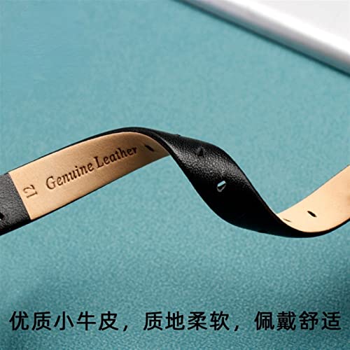 Watch Strap for Anne Klein Watchband Notch Ak Girl Simple Elegant Belt Small Dial Retro Watch Band 12Mm White/Red-Steel/12Mm2