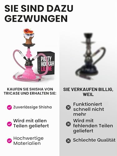 Shisha Set Klein mit 2 Schläuche - 30cm Rosa Mini Shisha - 2 Schlauch Shisha mit shisha zubehör 50x Folie + Shisha Tonkopf + 10x Spitzen 2x Mundstück Zange Tragbares Shisha Set mit allem Shisha-Kit