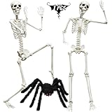 CAMIRUS 5.4ft/165cm Halloween Skeleton, Life Size Skeleton with Hairy Spider Pumpkin Bag, Full Body Human Bones with Movable Joints for Halloween Indoor Outdoor Haunted House Decorations