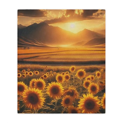 The Brilliant Yellow Flowers of The California Sunflower Fields Cozy
