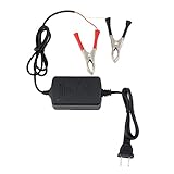 Zeglavi 12V 1.25A Sealed Lead Acid (SLA) Battery Charger for Charging Boats Motorcycles ATVs Riding Mowers Car Truck SUV RV with Smart 3 Stage Charging & Power Indicator