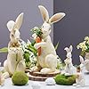 Newman house studio easter decorations bunny decor spring figurines table centerpiece  urban country home decor