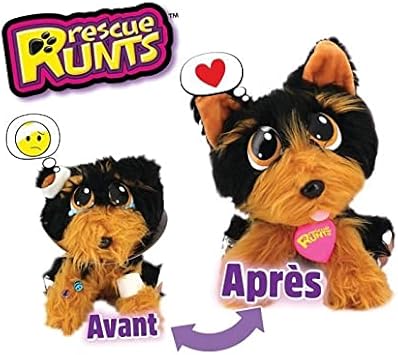 rescue runts husky amazon